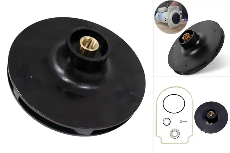 Detailed view of Best 2 HP Pool Pump Impeller