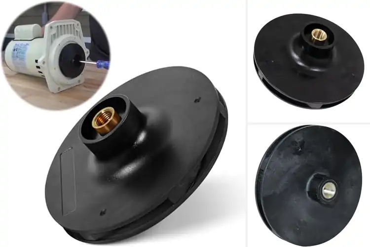 Detailed view of Best 2 HP Pool Pump Impellers