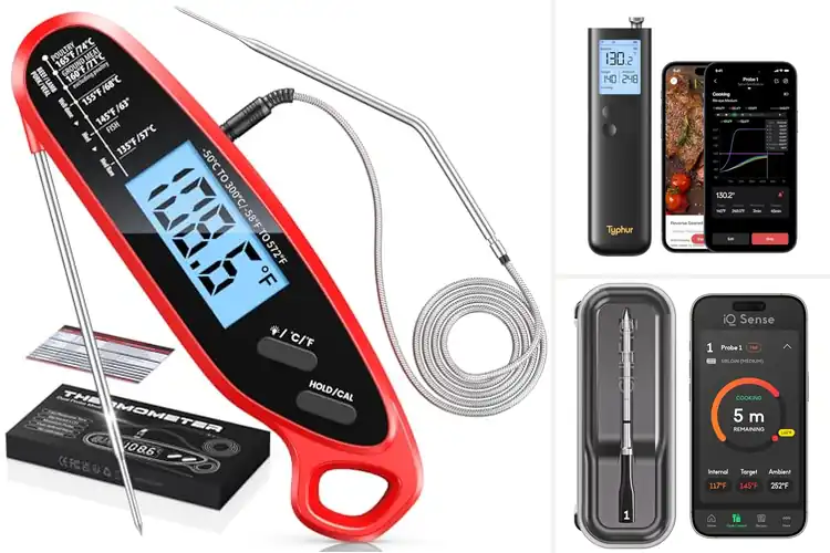 Detailed view of Best Air Fryer Thermometers