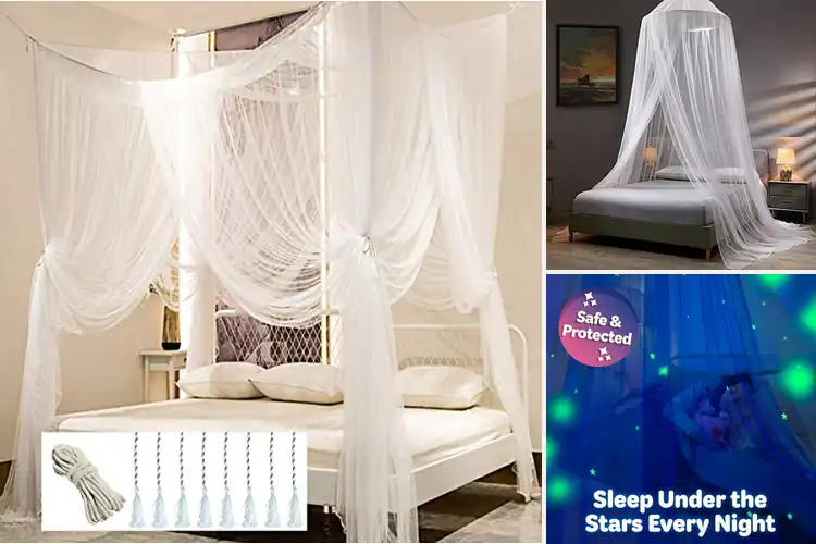 Detailed view of Best Bed Canopies