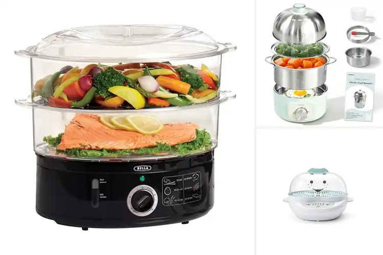 Detailed view of Best Compact Food Steamers