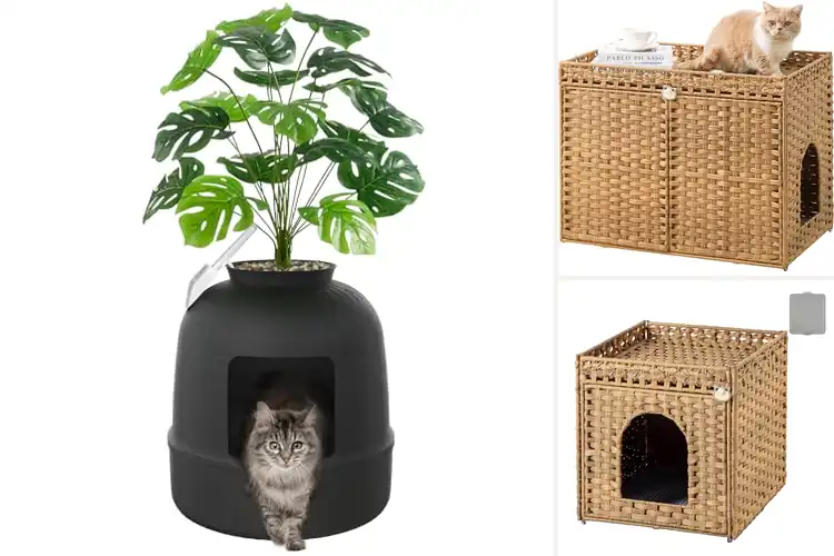 Detailed view of Best Decorative Litter Box Covers