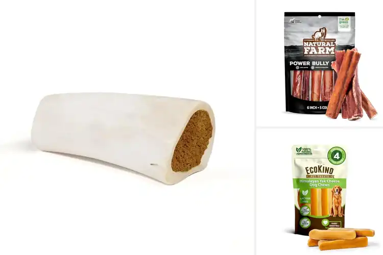 Detailed view of Best Dog Bones For Power Chewers That Truly Last
