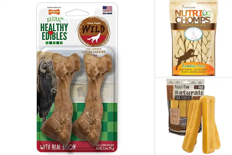 Detailed view of Best Durable Dog Chews