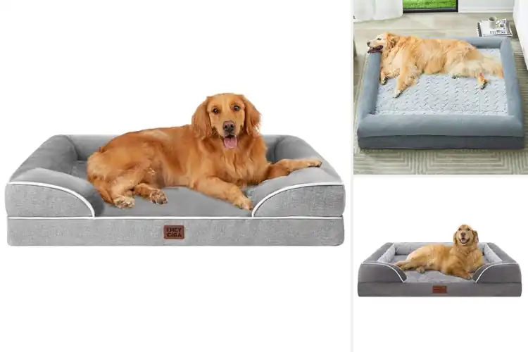 Detailed view of Best Extra Large Dog Beds for Big Pup Comfort & Support