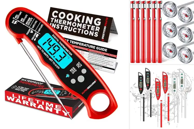 Detailed view of Best Food Thermometers