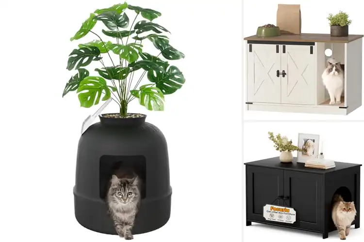 Detailed view of Best Hidden Litter Boxes: 10 Stylish Picks for a Clean Home