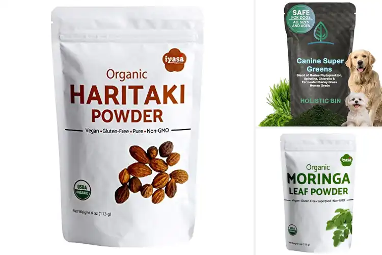 Detailed view of Best Holistic Health Powders