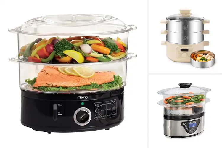 Detailed view of Best Multi-Functional Food Steamers