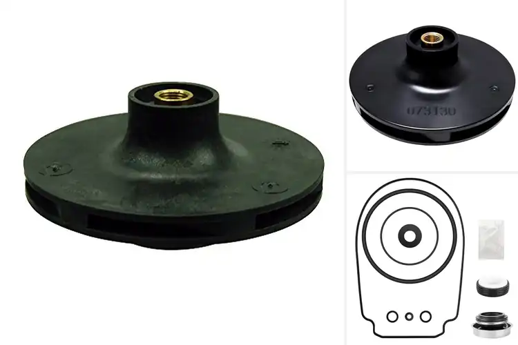 Detailed view of Best Pentair 1000 Series Pump Parts