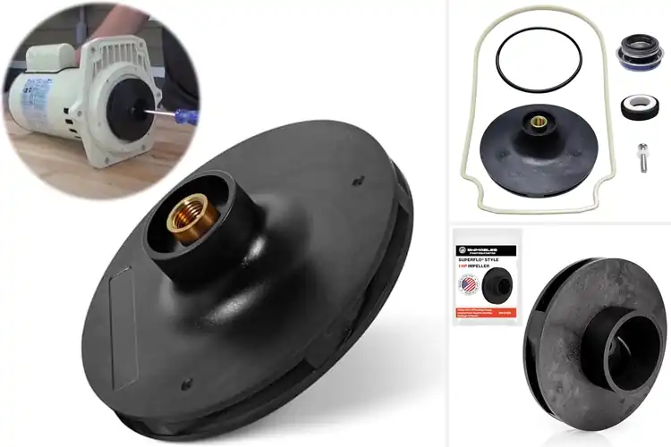 Detailed view of Best Pentair Impeller Replacements