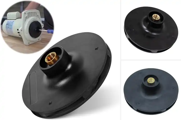 Detailed view of Best Pentair Whisperflo Impeller