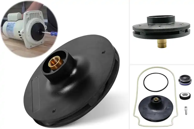 Detailed view of Best Pool Pump Impeller Replacements