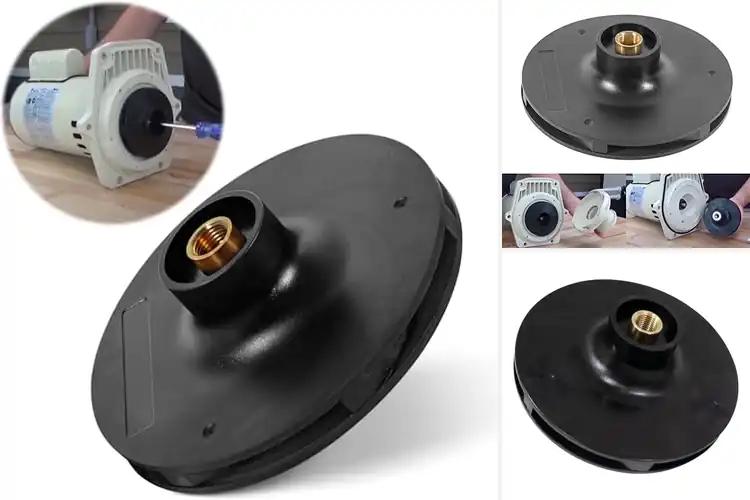 Detailed view of Best Pool Pump Impellers