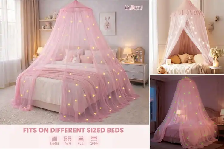 Detailed view of Best Princess Theme Bed Canopies