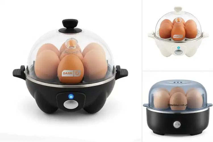 Detailed view of Best Rapid Egg Boilers