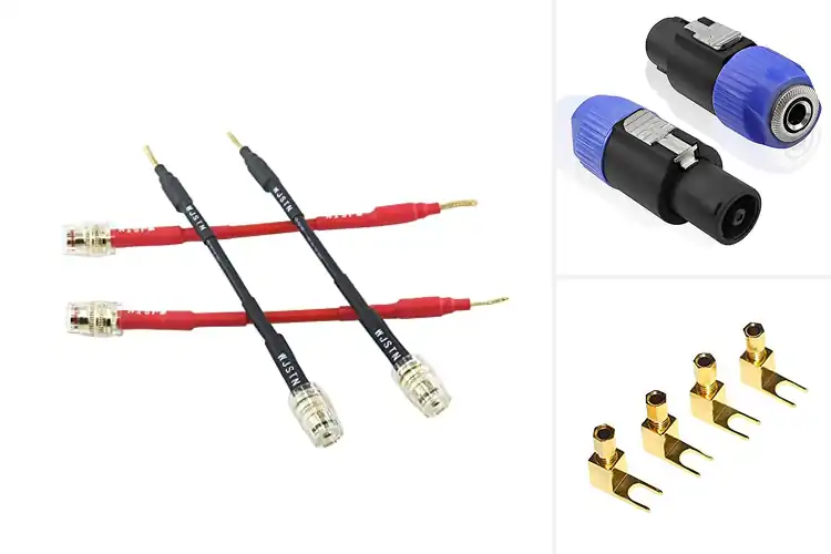 Detailed view of Best Speaker Adapter Connectors
