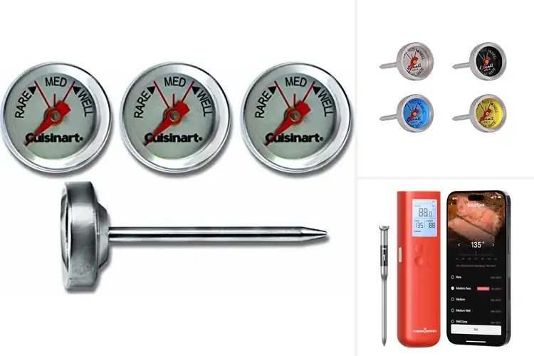 Detailed view of Best Steak Thermometers
