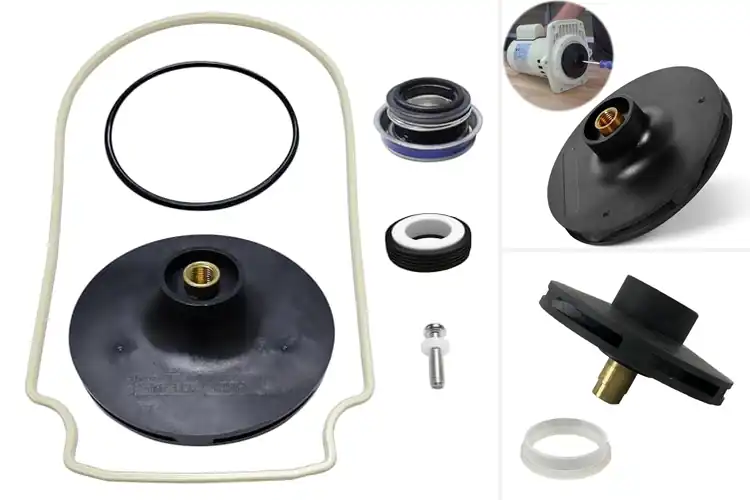 Detailed view of Best Swimming Pool Pump Impellers