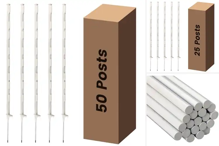 Detailed view of Best White Fence Posts